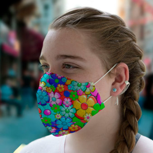 Face Masks - Felt