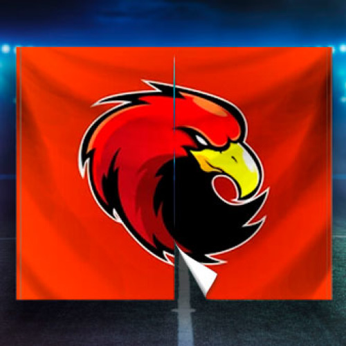 8ft x 10ft Breakaway Poly Banner