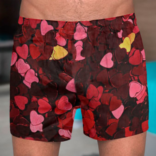 Boxer Silky