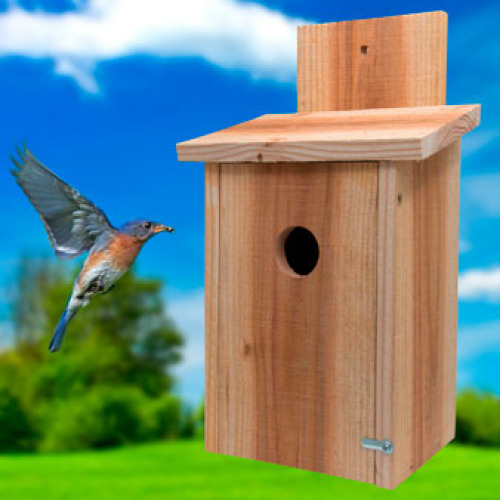 Cedar Blue Bird House with custom Print on Front