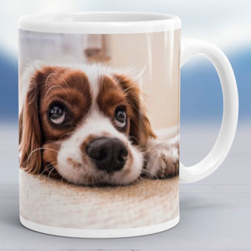 Mug - 11oz All White