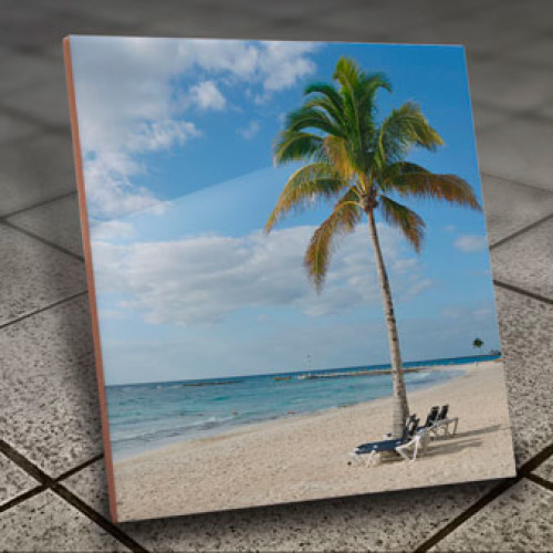 Ceramic Tile - 6in x 6in